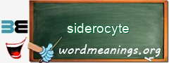 WordMeaning blackboard for siderocyte